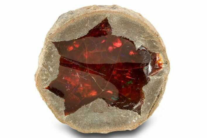 Ethiopian Chocolate Opal Nodule - Yita Ridge #367225
